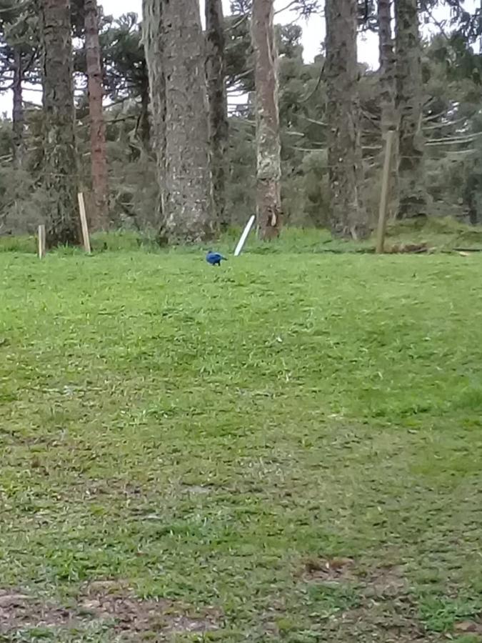 Chales Snow Urubici Zewnętrze zdjęcie